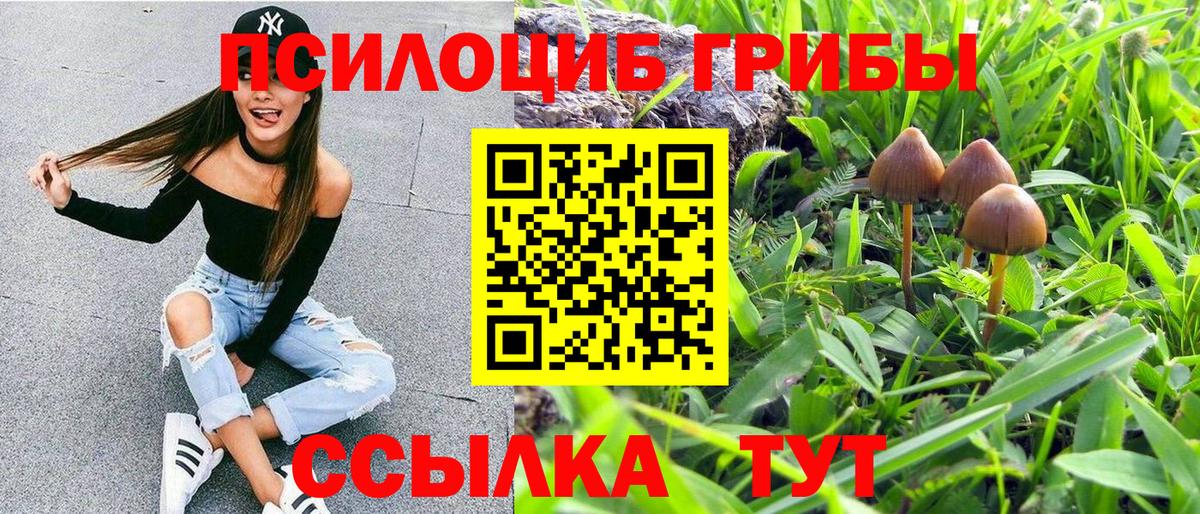 Псилоцибиновые грибы Psilocybe  Вход с VPN  Кондопога 